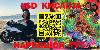 прущие грибы Кунгур